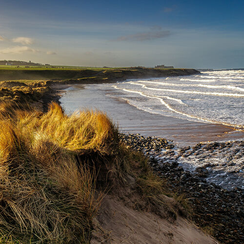 Edge of the North Shore