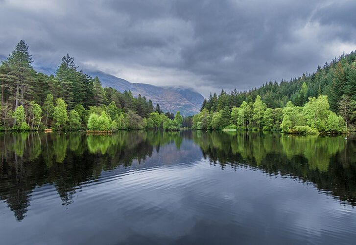 Whispers  of the Highlands