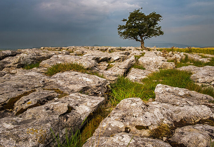 Solitude on Limestone