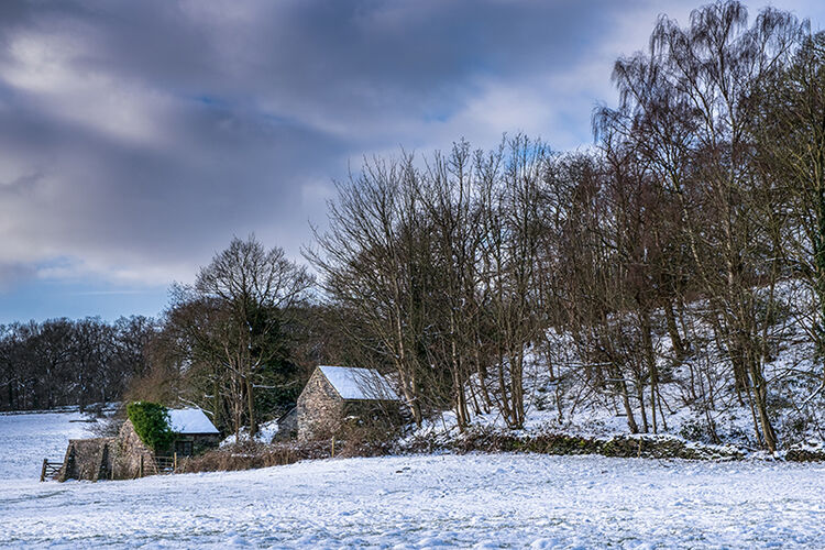 Snowfall at the Old Stone Barns