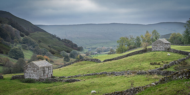 Barns in the Valley