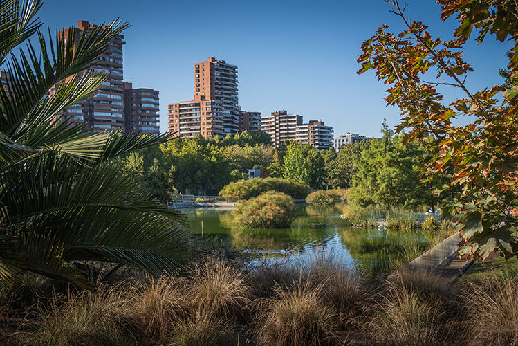 Urban Oasis
