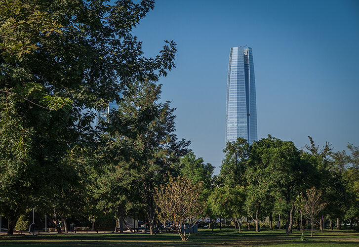 Rising Tall