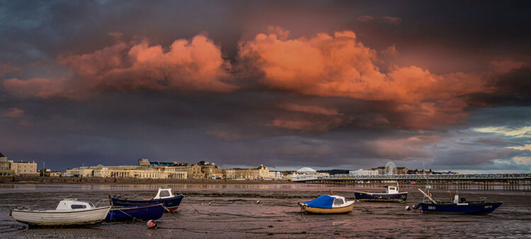 Under an Evening Sky