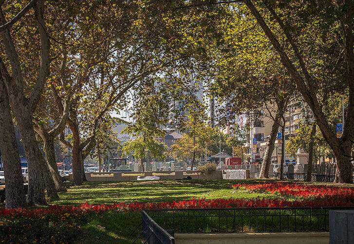 City Garden