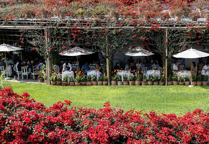 An Oasis of Flowers & Conversation