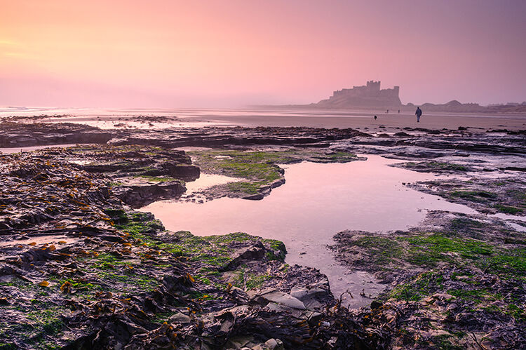 Bamburgh Pink