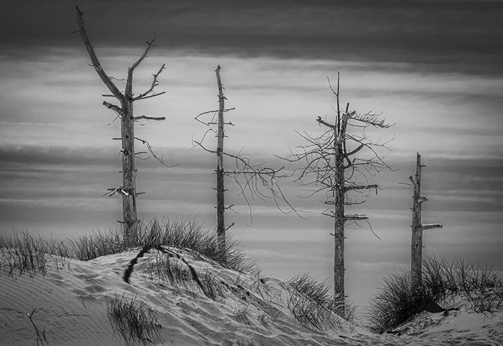 REMNANTS