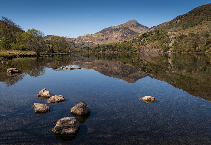 STILLNESS AT THE LAKE