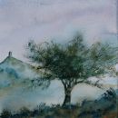 The Galstonbury Thorn