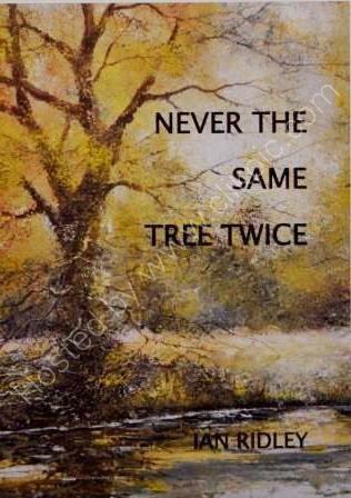 Never the Same Tree Twice