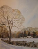 Worcestershire Winter