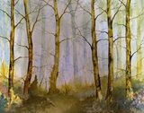 Forest Haze