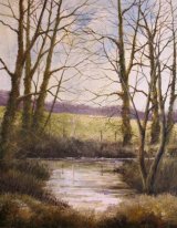 Stream by Bean Hall Farm