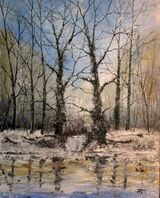 Whirly Hole Feckenham