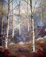 Birch Forest Frost