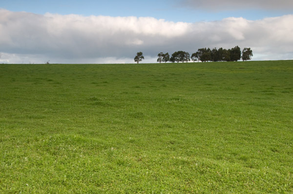 fields