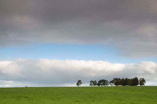 a farm vista