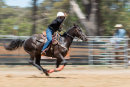 BODDINGTONRODEO2014-143-web