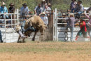BODDINGTONRODEO2014-192-web