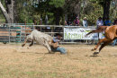 BODDINGTONRODEO2014-212-web