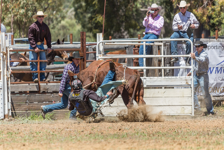 BODDINGTONRODEO2014-22-web