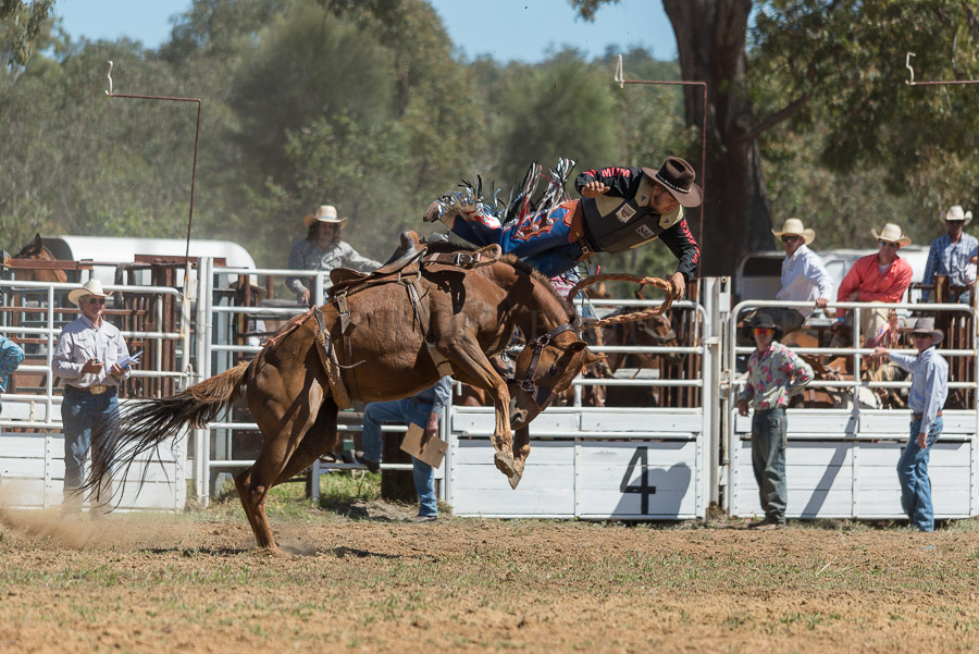 BODDINGTONRODEO2014-240-web