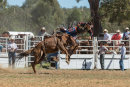 BODDINGTONRODEO2014-240-web