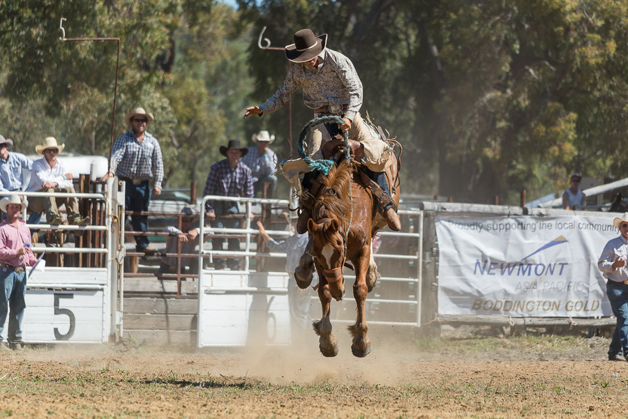 BODDINGTONRODEO2014-252-web