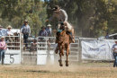BODDINGTONRODEO2014-252-web