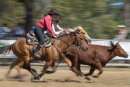 BODDINGTONRODEO2014-282-web