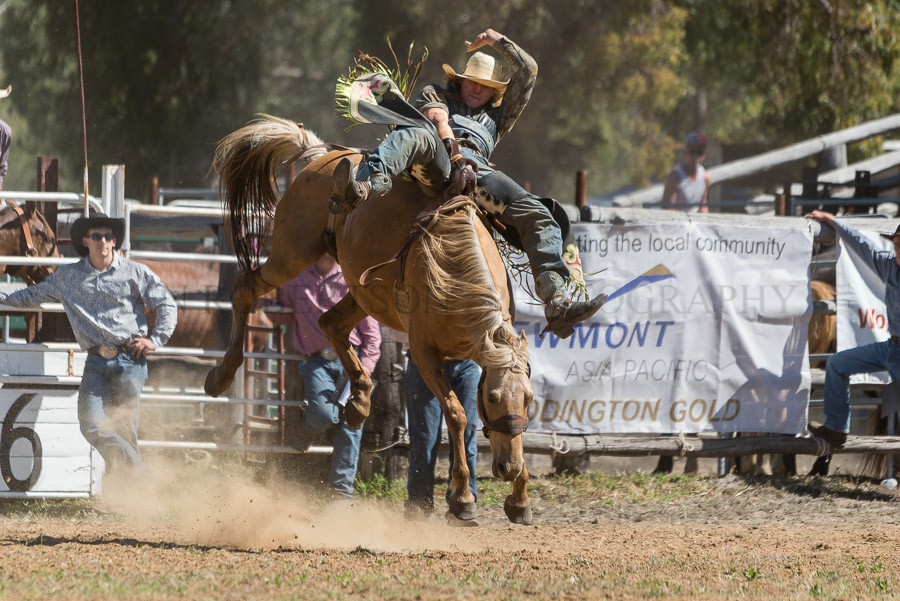 BODDINGTONRODEO2014-306-web