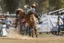 BODDINGTONRODEO2014-306-web