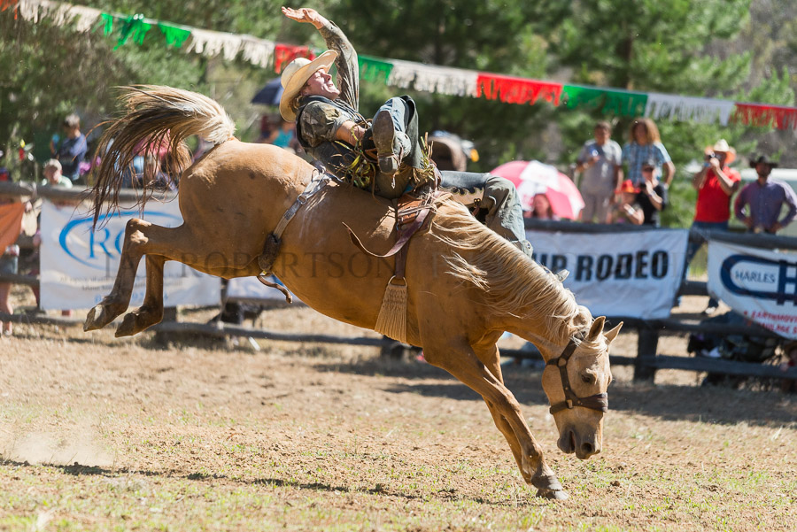 BODDINGTONRODEO2014-311-web