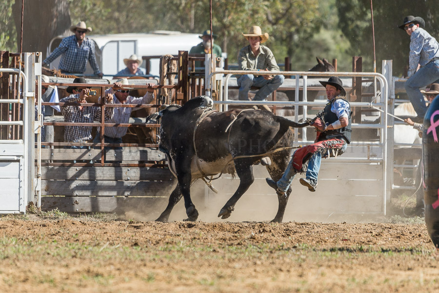 BODDINGTONRODEO2014-429-web