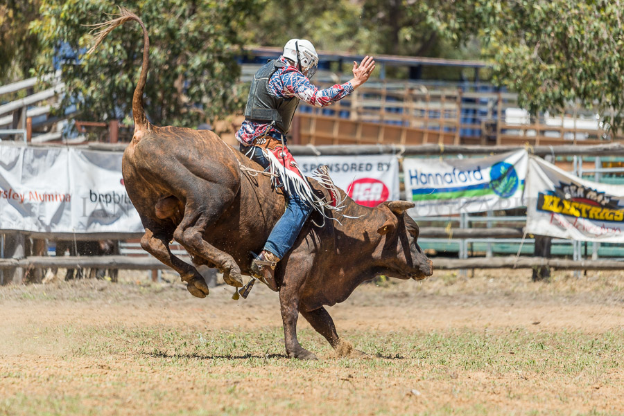 BODDINGTONRODEO2014-43-web