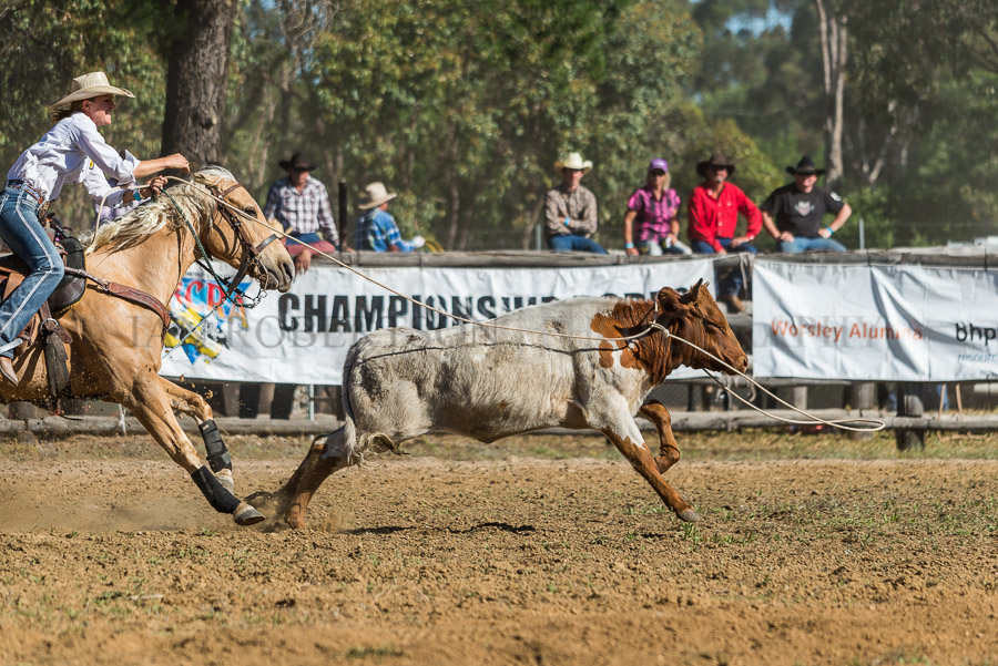 BODDINGTONRODEO2014-458-web