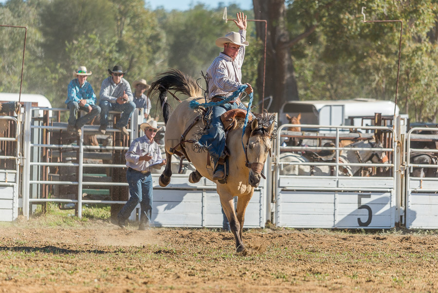 BODDINGTONRODEO2014-465-web