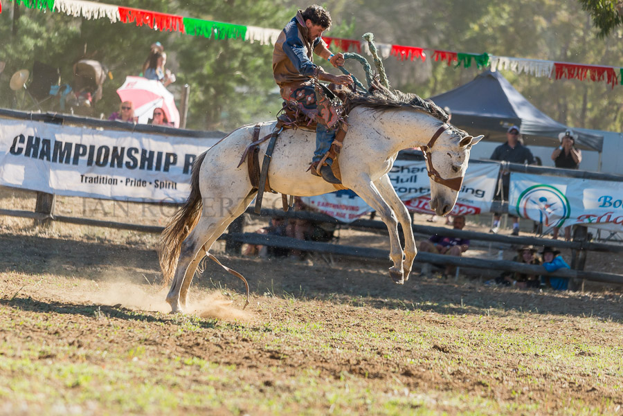 BODDINGTONRODEO2014-469-web