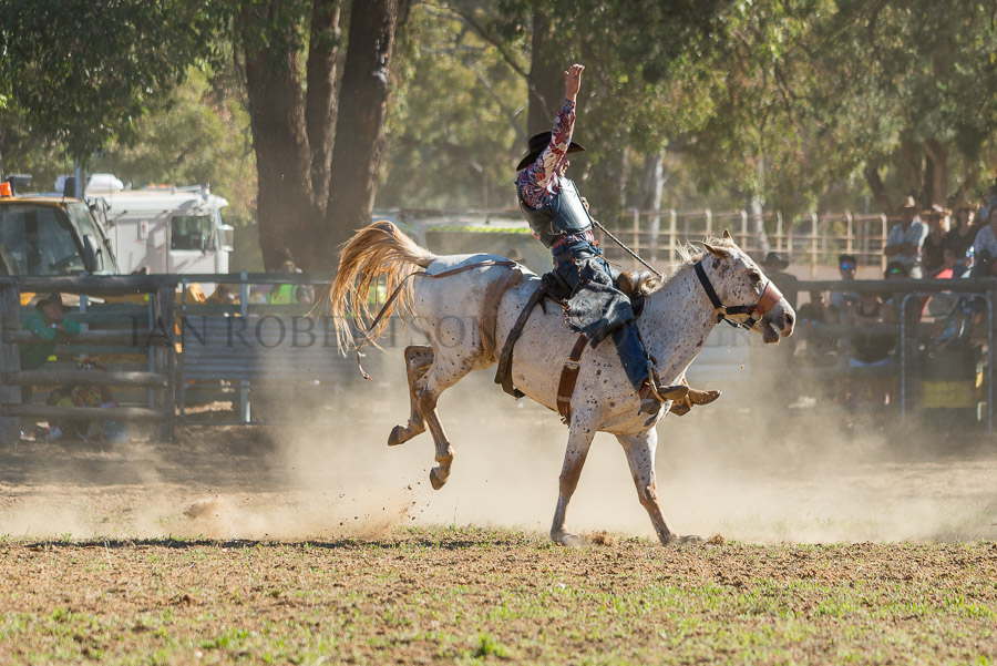 BODDINGTONRODEO2014-471-web