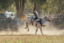 BODDINGTONRODEO2014-471-web
