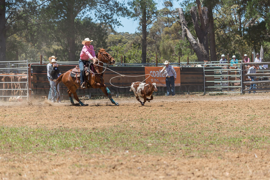 BODDINGTONRODEO2014-48-web