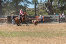 BODDINGTONRODEO2014-48-web