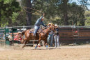 BODDINGTONRODEO2014-62-web