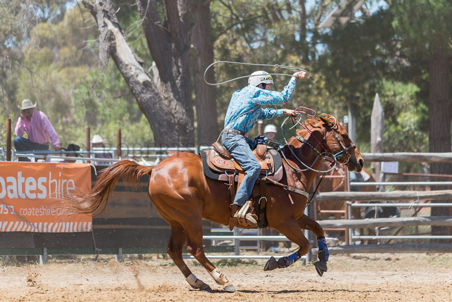 BODDINGTONRODEO2014-72-web