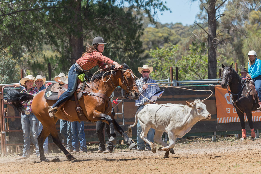 BODDINGTONRODEO2014-79-web