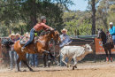 BODDINGTONRODEO2014-79-web
