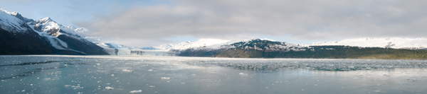 College Fiord panorama