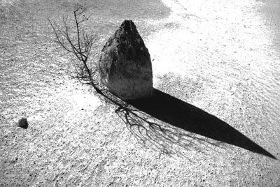 The lone rock
