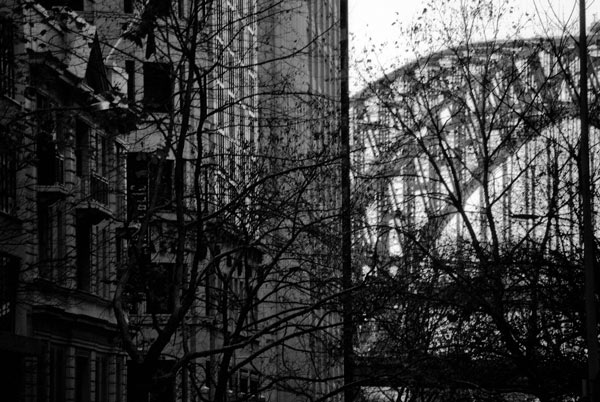 the bridge